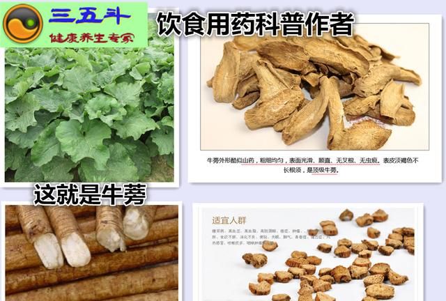 牛蒡茶的功效，喝牛蒡茶有什么功效和作用图2