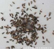 牛蒡茶的功效，喝牛蒡茶有什么功效和作用图8
