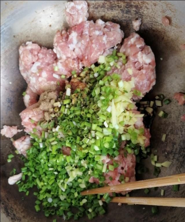 豆角肉末包子的做法及配料(豆角肉末包子配方)图29