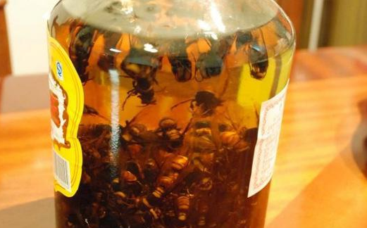 虎头蜂酒主要的功效就是用于治疗风湿！