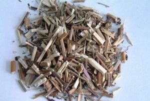 荆芥是什么植物(荆芥是什么科的植物)图2
