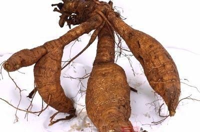 葛根的功效与作用 葛根的17个药理作用