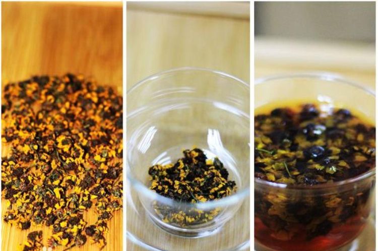 昆仑雪菊的作用与功效，昆仑雪菊功能与作用图1