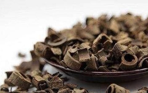 厚朴有什么功效和作用(厚朴什么功效和作用)