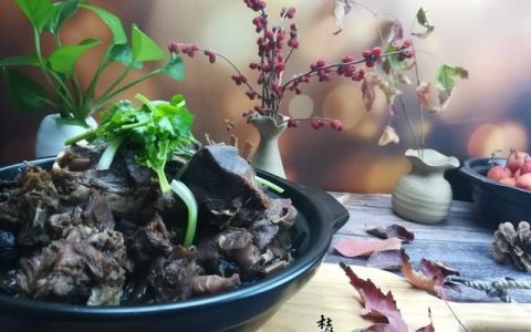 兔肉怎么做才好吃家常做法(兔肉如何做才好吃)