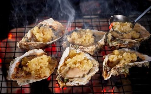 煅牡蛎功效和作用,煅牡蛎的功效有什么