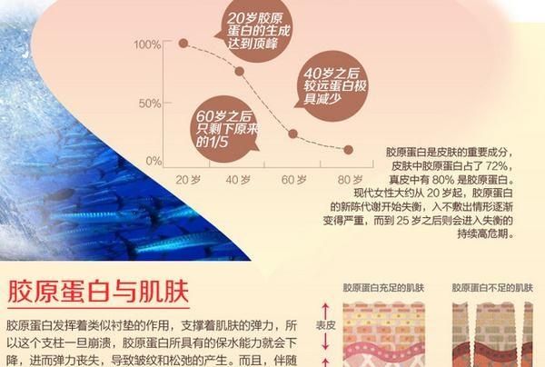 胶原蛋白肽粉的功效与作用,胶原蛋白作用与功效是什么图2