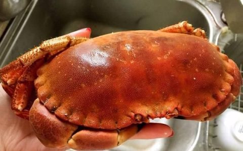 面包蟹怎么做好吃又简单(小面包蟹怎么做好吃)