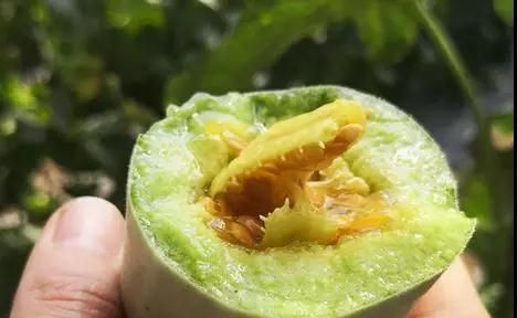 “网红瓜王”羊角蜜，帮你轻松甩脂