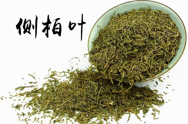每天学习一味中药——侧柏叶