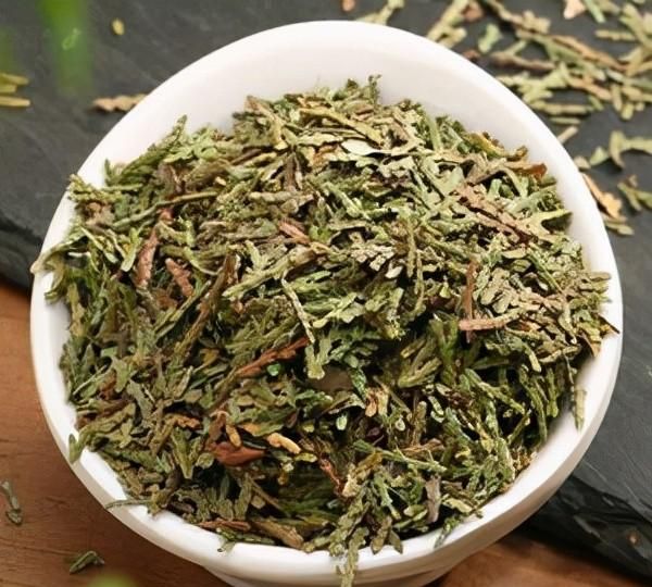每天学习一味中药——侧柏叶