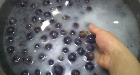 葡萄酒制作方法,自己酿葡萄酒最简单的方法图9