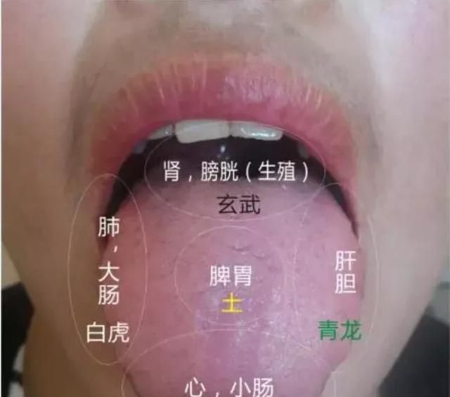 归脾丸的疗效和作用，归脾丸功效如何图6