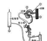 大师一百——生物大师：考试常见识图作答题整理