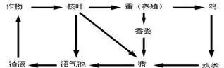 大师一百——生物大师：考试常见识图作答题整理