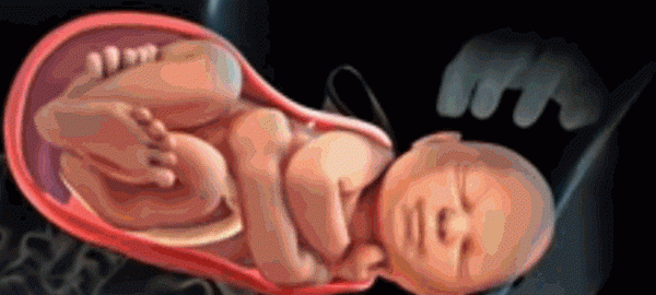 孕妇宫口开到几指才能生产,孕妇宫口开多少才能生图4