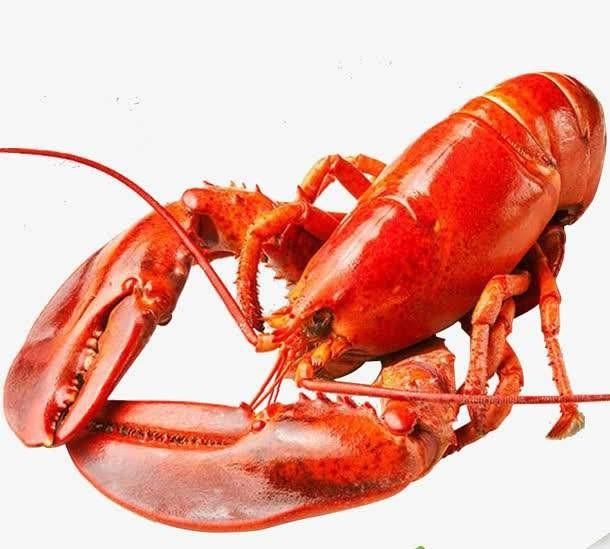 龙虾怎么做干净又卫生呢图2