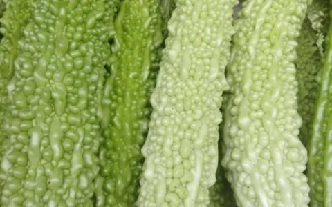 人工种植的苦瓜有什么功效