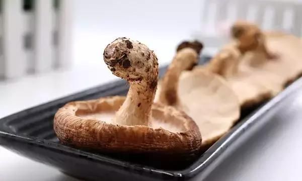 香菇搭配这些宝，赛过神仙药！你居然还不知道
