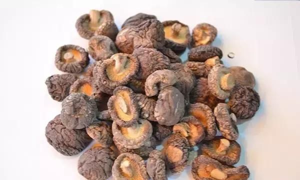 香菇搭配这些宝，赛过神仙药！你居然还不知道