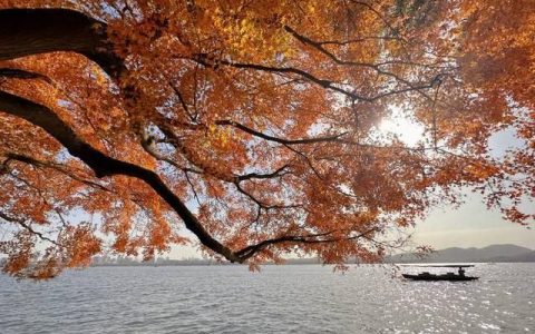 今明两天为寒潮过程最冷时段,寒潮冷空气最高能到达多少高度