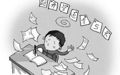 如何赶作业(如何快速安排作业)