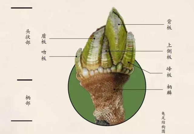 哪里海鲜好吃(好吃的海鲜推荐)图3