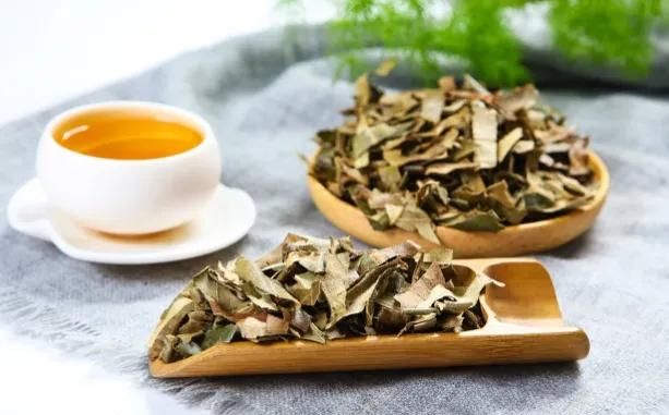 枇杷叶有哪些用途,枇杷叶功效与用途图3