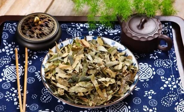 枇杷叶有哪些用途,枇杷叶功效与用途图4