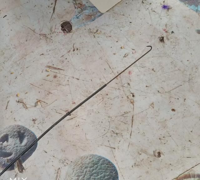 如何钓黄鳝,怎样钓黄鳝图1