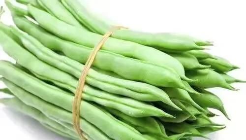 如何种四季豆(四季豆的种植方法和管理技术)图4