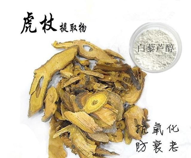 虎杖有什么药效,虎杖有什么药性图6