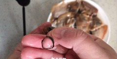 如何挑选和处理河蚌，菜场老板教我一招，果然肉质鲜嫩、不老不腥