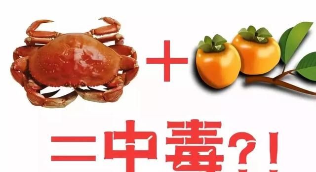螃蟹与柿子可以同时进食吗(柿子和螃蟹隔几个小时能吃)图1