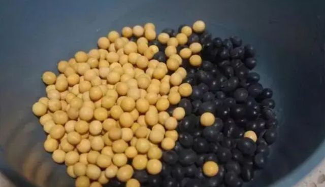 都是豆浆，黄豆浆好还是黑豆浆好？区别很大，你喝对了吗？别不懂