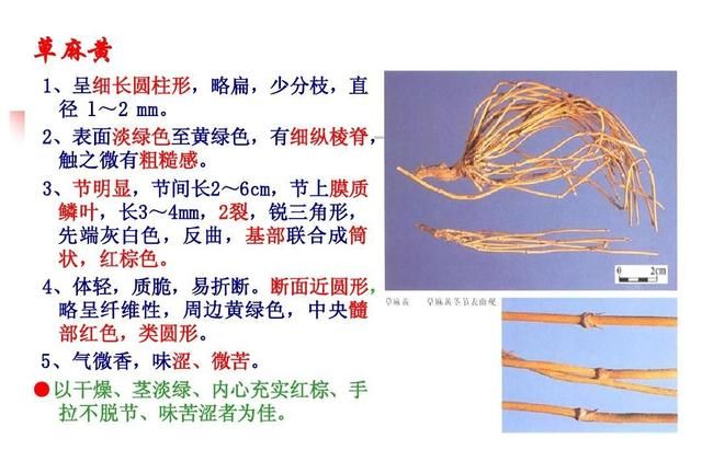 麻黄的三大副作用是哪些(麻黄的副作用怎么解)图5