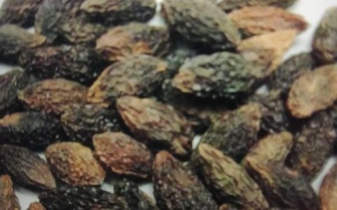 蜂糖泡青果有什么作用,青果跟什么一起泡水