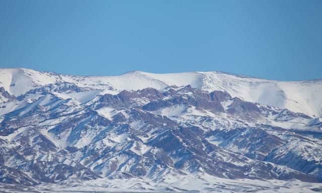 九龙营养课堂：天山雪莲怎么吃？雪莲花做法大全？雪莲花茶功效？