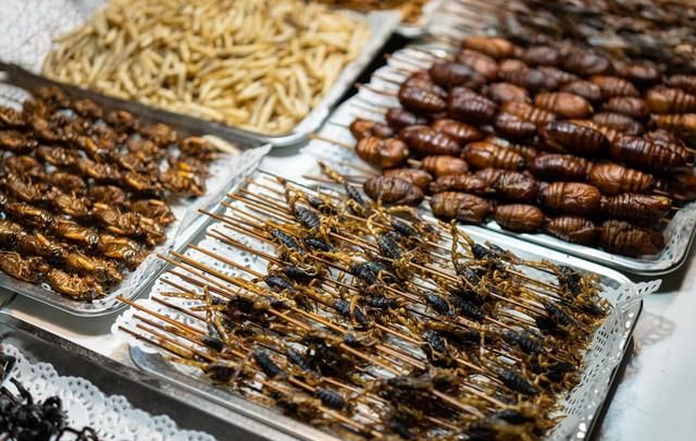 全蝎的功效与作用,全蝎的副作用图6