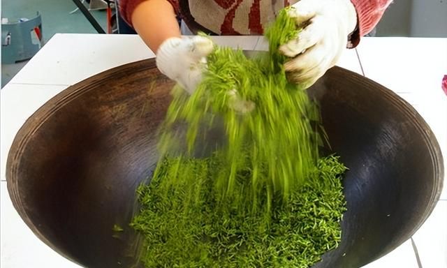 碧螺春是一种什么茶,碧螺春是一种什么茶类图8