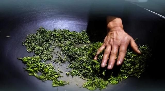 碧螺春是一种什么茶,碧螺春是一种什么茶类图11