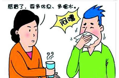 喝茶也要喝个明白，信阳毛尖的9大功用全解析！