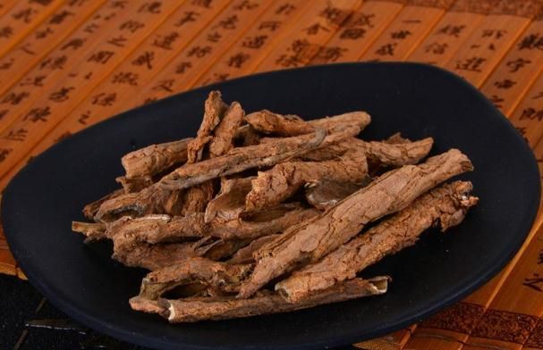地骨皮的功效是什么(地骨皮的重要功效与作用)图4
