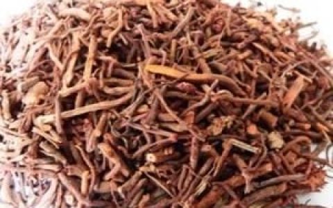 茜草是什么样的草药呢?有啥功效