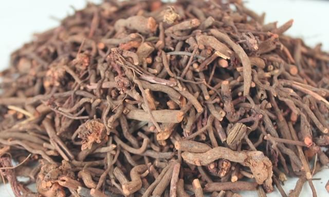 茜草是什么样的草药呢?有啥功效图3
