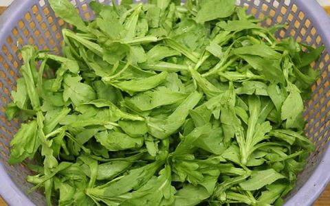 蒜泥茼蒿的正宗做法(蒜泥茼蒿菜的做法大全)