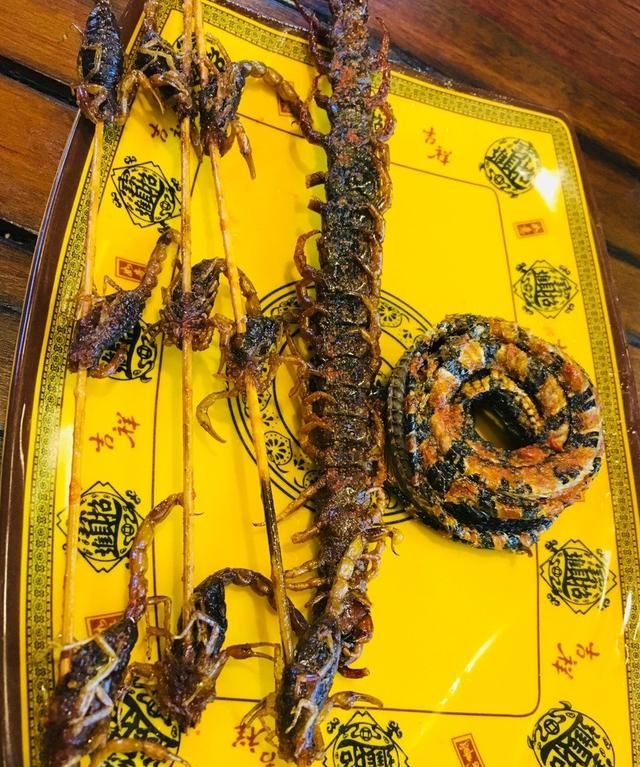 五毒之一--蟾蜍，你需要了解的毒性知识