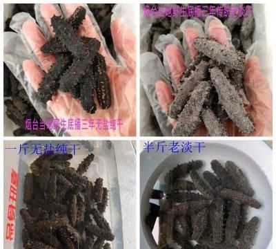这道泡发海参及做法简单快手，超下饭