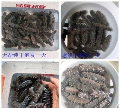 这道泡发海参及做法简单快手，超下饭