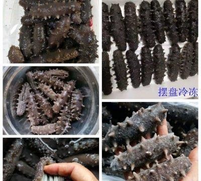 这道泡发海参及做法简单快手，超下饭